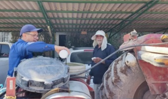 مدیریت تغذیه‌ای، راهکار کاهش پوسیدگی و ترک‌خوردگی خرما