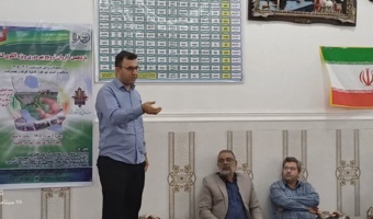 افزایش بهره‌وری مزارع در گرو رعایت الگوی کشت مناسب است