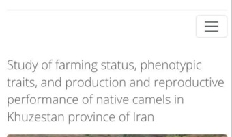 شتر بومی خوزستان در ویترین جهانی تنوع ژنتیکی دام؛ پژوهش پژوهشگر خوزستانی در سامانه فائو منتشر شد