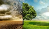 نقش کلیدی جنگل‌ها در تعدیل اثرات تغییرات اقلیمی