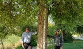 استفاده از شبکههای عصبی مصنوعی، انقلابی در شناسایی مناطق مستعد کشت گونههای جنگلی است