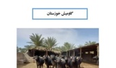 انتشار «کاتالوگ گاومیش خوزستان»