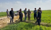 تنظیم دقیق سمپاشها، کلید افزایش بهرهوری مبارزه با علفهای هرز گندم است