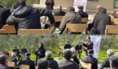 گسترش آفات در مزارع گندم و جو خوزستان/ تأکید بر پایش بهموقع برای مقابله با زنگ زرد گندم