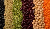 حبوبات، کلید امنیت غذایی و کشاورزی پایدار در شرایط خشکسالی