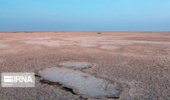 یک پژوهشگر: سرعت بیابانزایی در ایران بیش از میانگین جهانی است