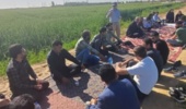 برگزاری طرح انتقال یافته‌های تحقیقاتی با محوریت آبیاری در مزارع رامشیر