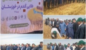 آغاز برداشت دانههای طلایی گندم در خوزستان