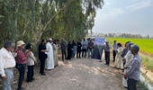 برگزاری روز مزرعه برنج با موضوع مدیریت مزارع الگویی خشکه‌کاری در خوزستان