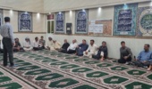 مدیریت هوشمند تغذیه؛ پیش‌نیاز برداشت حداکثری در مزارع برنج خوزستان