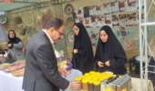 حضور معاون پژوهشی مرکز تحقیقات و آموزش کشاورزی خوزستان در جشنواره «نخل و تالاب» شادگان