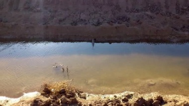 اهمیت مدیریت زهکشی در اراضی شور خوزستان
