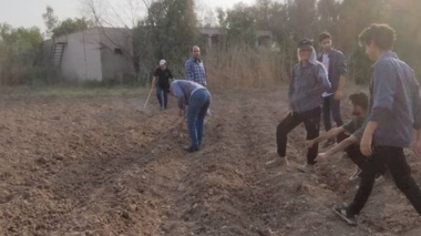 کشت موفق لوبیای چشم‌بلبلی و ماش در دمای ۵۰ درجه‌ سانتی گراد