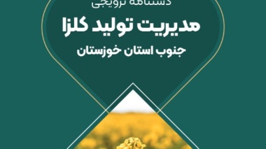 انتشار «دستنامه ترویجی مدیریت تولید کلزا در جنوب خوزستان»
