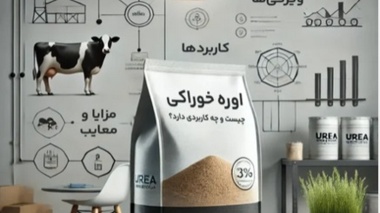 اوره، جایگزین اقتصادی پروتئین در تغذیه دام/ هشدار درباره مسمومیت دام‌ها با استفاده نادرست
