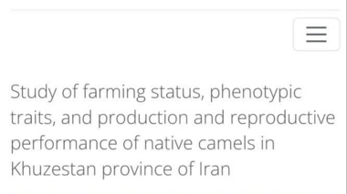 شتر بومی خوزستان در ویترین جهانی تنوع ژنتیکی دام؛ پژوهش پژوهشگر خوزستانی در سامانه فائو منتشر شد