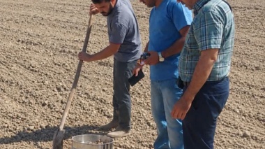 ارزیابی فنی دیسکِ ساخت خوزستان در مزارع شوشتر