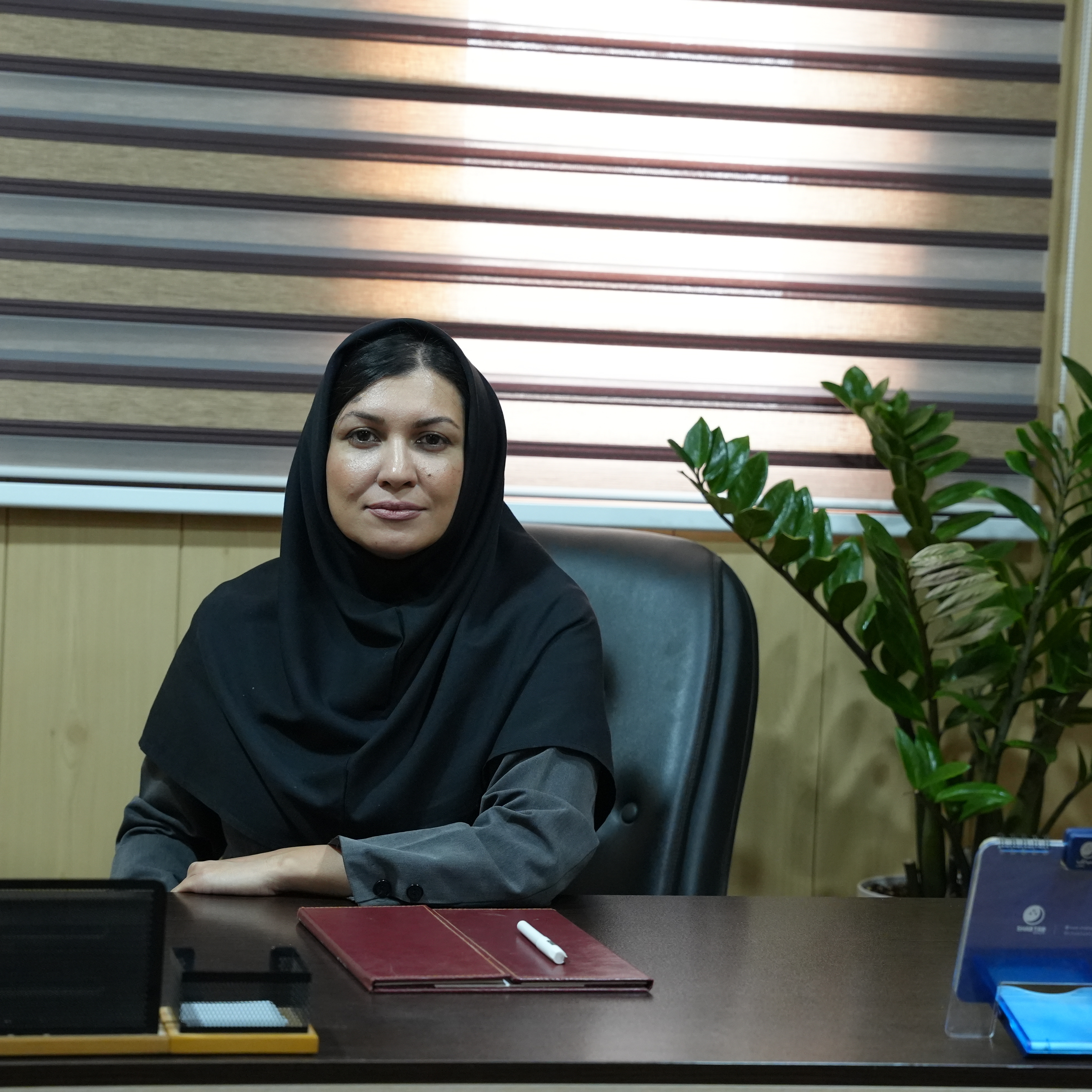افروز فارسی